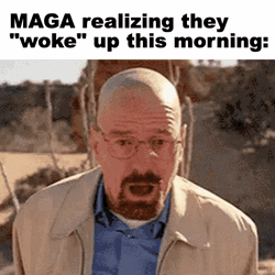 Walter White Meme Morning Realization GIF