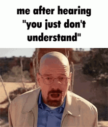 Walter White Reaction When Someone Don't Understand GIF