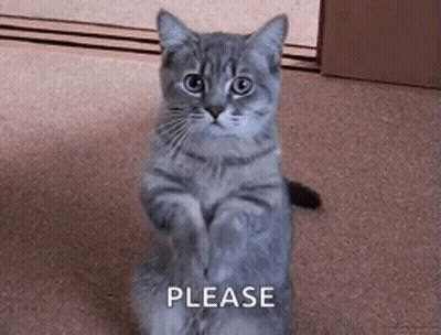 Wanna Play A Game Message GIF