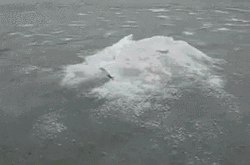 Wanted To Do Icebreaker GIF