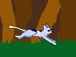 Warrior Cat Running GIF
