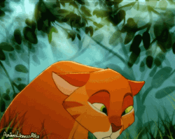 Warrior Cats GIF