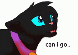 Warrior Cats Can I Go GIF