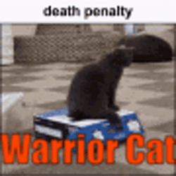 Warrior Cats Death Penalty GIF