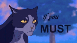 Warrior Cats Fight With Yourself GIF