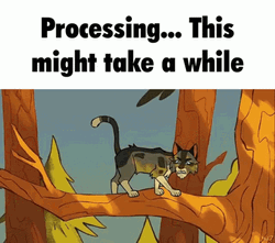 Warrior Cats Processing Might Take A While GIF