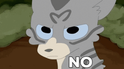 Warrior Cats Saying No GIF