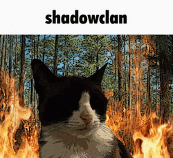 Warrior Cats Shadow Clan Burning GIF