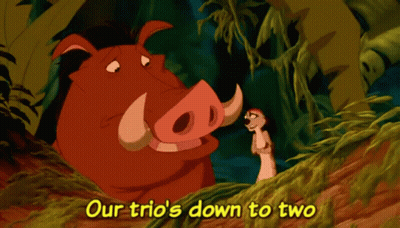 Warthog And Meerkat Our Trio's Down To Two GIF