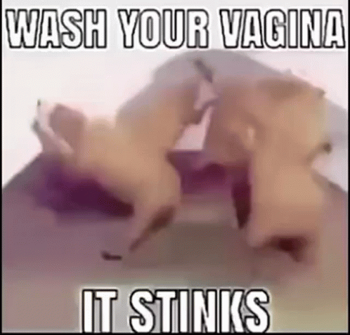 Wash Your Vagina It Stinks GIF