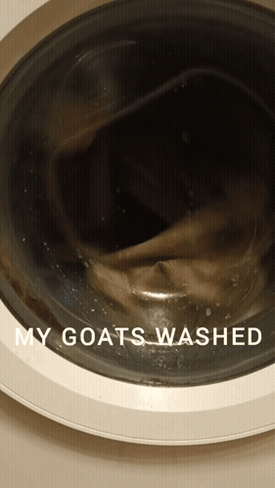 Washing Machine Saying My Goats Washed GIF