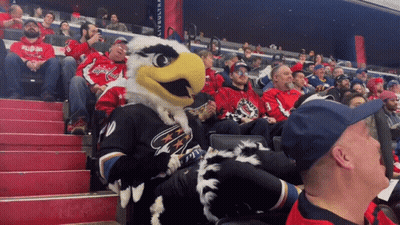 Washington Capitals Mascot Sitting In Crowd GIF