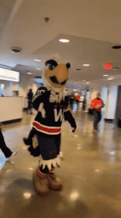 Washington Capitals Mascot Walking Through Lobby GIF