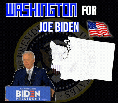 Washington Poster For Joe Biden GIF