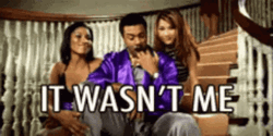 Wasnt Me Shaggy With Two Girls GIF