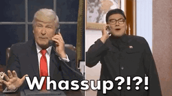 Wassup Donald Trump Parody SNL GIF