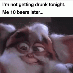 Wasted Drunk Gizmo Gremlins GIF