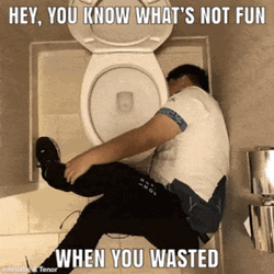 Wasted What's Not Fun GIF