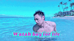 Watahboy For Life Dolphin Dive GIF