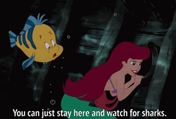 Watch For Sharks Little Mermaid Ariel GIF