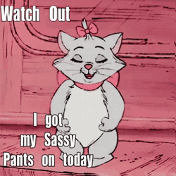 Watch Out I Got My Sassy Pants On Today GIF