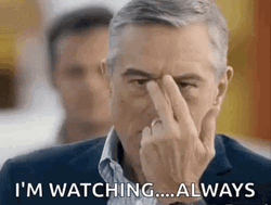 Watching You Warning By Robert De Niro GIF