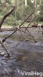 Water Device Spinning Wheel GIF