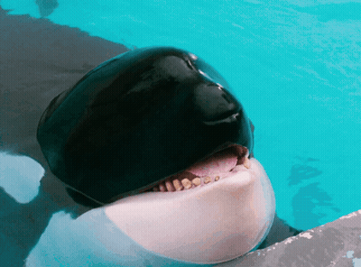 Water Drop Holding Lollipop You're So Sweet GIF