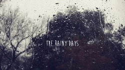 Water Drops In Rainy Monday GIF