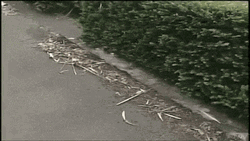 Water Flowing From Ground Earthquake GIF
