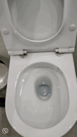 Water Flushing Toilet Bowl Close Up GIF