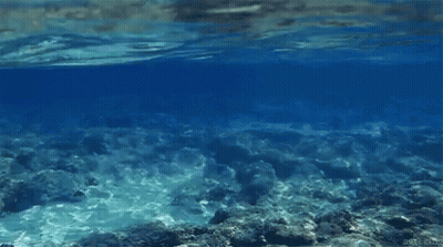 Water Surrounded By Rocks And Corals GIF