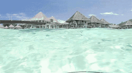 Water Vacation GIF