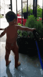Waterboy Plants GIF