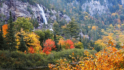 Waterfall Aesthetic Nature Agawa Canyon Autumn Forest GIF