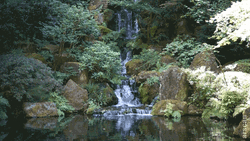 Waterfall Beautiful Landscape Magical View GIF