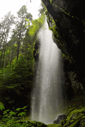 Waterfall Covell Creek Washington Pacific Northwest GIF