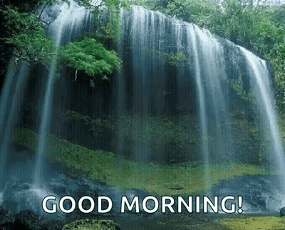 Waterfall In Forest Good Morning GIF