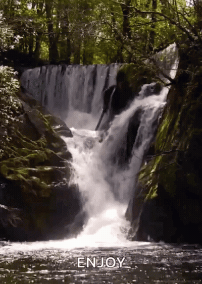 Waterfall In Forest Saying Enjoy GIF