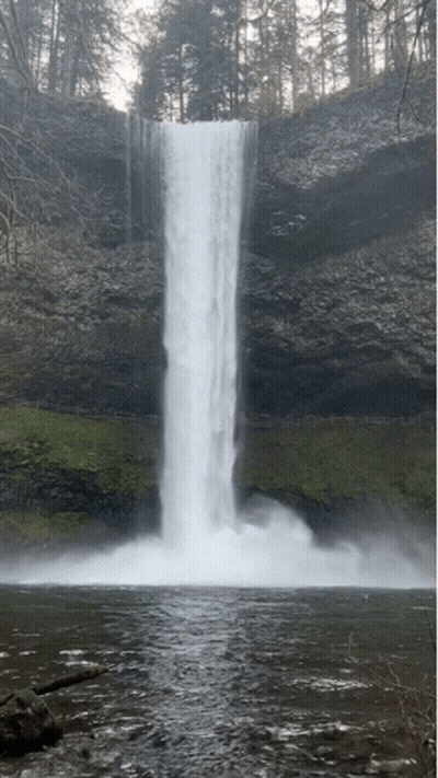 Waterfall In Forest GIF
