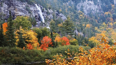 Waterfall In Forest With Changing Colors GIF