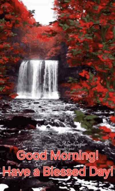 Waterfall In Forest With Red Leaves And Good Morning GIF