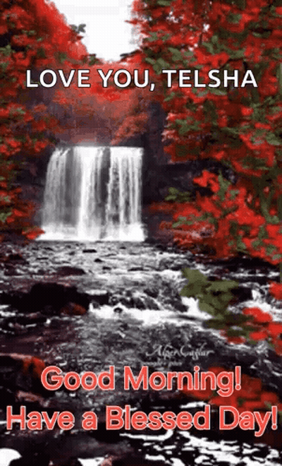 Waterfall In Forest With Red Leaves GIF