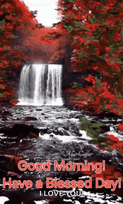 Waterfall In Forest With Red Leaves Good Morning GIF