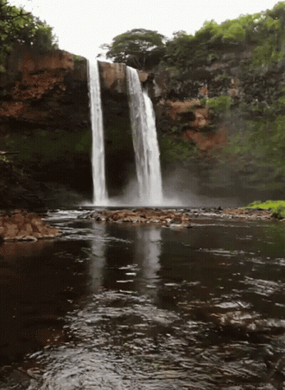 Waterfall In River With Trees GIF