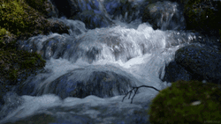 Waterfall Nature Cinemagraph Loop Bubbles Rocks GIF