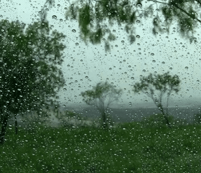 Waterfall Reflected In Puddle With Flowers GIF