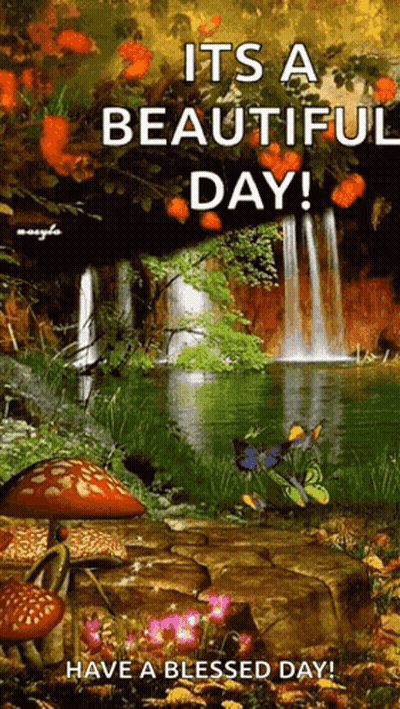 Waterfall Saying It's A Beautiful Day GIF