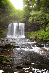 Waterfall Stream Fresh Forest Nature GIF