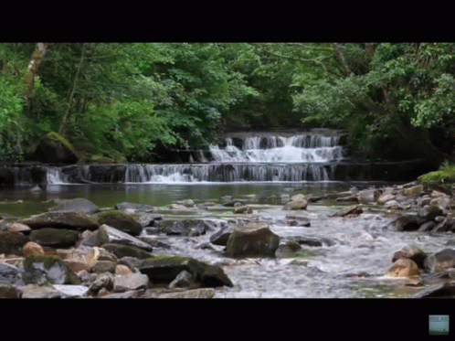 Waterfall Surrounded By Rocks And Trees In Forest GIF